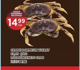 Kim Phat LIVE DUNGENESS CRAB offer