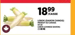 Kim Phat LOBOK CHINESE DAIKON offer