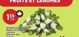 Kim Phat BOK CHOY TIPS offer