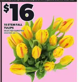 Loblaws 15 STEM FALL TULIPS offer