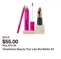TSC Stores Cheekbone Beauty Your Lips But Better Kit offer