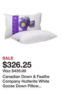 TSC Stores Canadian Down & Feathe Company Hutterite White Goose Down Pillow (Medium) offer