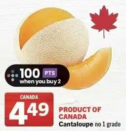 IGA Cantaloupe offer