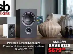 2001 Audio Video Powered Stereo Speakers offer