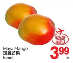 T&T Supermarket MAYA MANGO offer