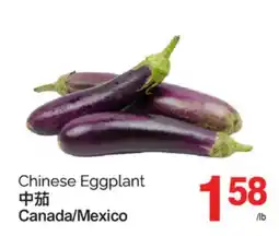 T&T Supermarket CHINESE EGGPLANT offer