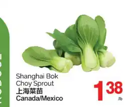 T&T Supermarket SHANGHAI BOK CHOY SPROUT offer