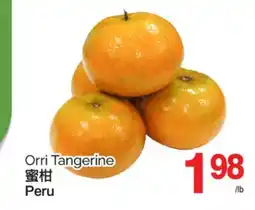 T&T Supermarket ORRI TANGERINE offer