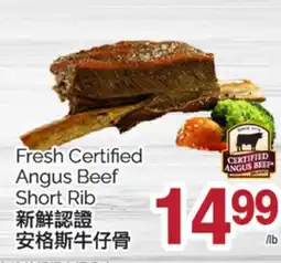 T&T Supermarket FRESH CERTIFIED ANGUS BEEF SHORT RIB offer