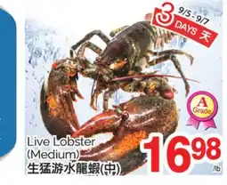 T&T Supermarket LIVE LOBSTER, (Medium) offer