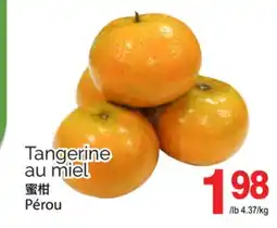 T&T Supermarket TANGERINE AU MIEL offer