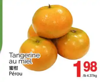 T&T Supermarket TANGERINE AU MIEL offer