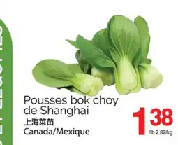 T&T Supermarket POUSSES BOK CHOY DE SHANGHAI offer