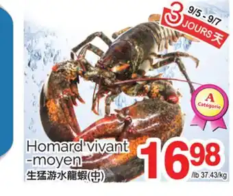 T&T Supermarket HOMARD VIVANT -MOYEN offer