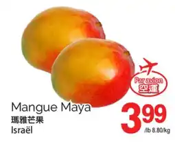 T&T Supermarket MANGUE MAYA offer