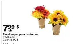 Michaels Floral en pot pour l'automne d'Ashland offer