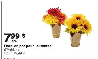 Michaels Floral en pot pour l'automne d'Ashland offer