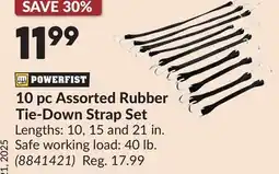Princess Auto 10 pc Assorted Rubber Tie-Down Strap Set offer
