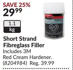 Princess Auto Short Strand Fibreglass Filler offer