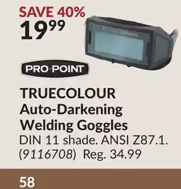 Princess Auto TRUECOLOUR Auto-Darkening Welding Goggle offer