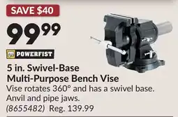 Princess Auto 5 in. Swivel-Base Multi-Purpose Bench Vise offer