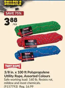 Princess Auto 3/8 in. x 100 ftPolypropylene Utility Rope, Assorted Colours offer