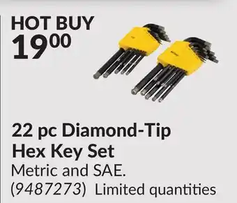Princess Auto 22 pc Diamond-Tip Hex Key Set offer