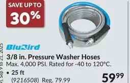 Princess Auto 3/8 in. Pressure Washer Hoses offer