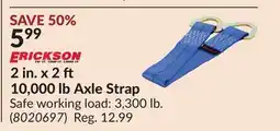 Princess Auto 2 in. x 2 10,000 lb Axle Strap offer