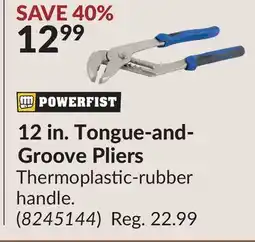 Princess Auto 12 in. Tongue-and- Groove Pliers offer