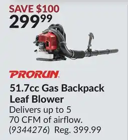 Princess Auto 51.7cc Gas Backpack Leaf Blower offer