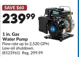 Princess Auto 1 in. Gas Water Pump offer