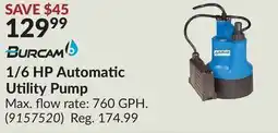 Princess Auto 1/6 HP Automatic Utility Pump offer