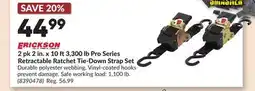 Princess Auto 2 pk 2 in. x 10 ft3,300 lb Pro Series Retractable Ratchet Tie-Down Strap Set offer