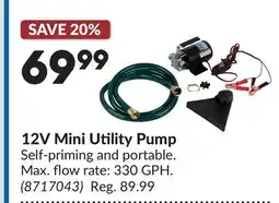 Princess Auto 12V Mini Utility Pump offer