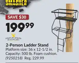 Princess Auto 2-Person Ladder Stand offer