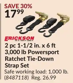 Princess Auto 2 pc 1-1/2 in. x 6 3,000 lb Powersport Ratchet Tie-Down Strap Set offer