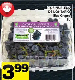 Supermarché PA RAISINS BLEUS DE L'ONTARIO | Blue Grapes offer
