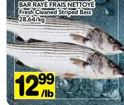 Supermarché PA BAR RAYÉ FRAIS NETTOYÉ | Fresh Cleaned Striped Bass offer