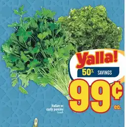 Marché Adonis ITALIAN OR CURLY PARSLEY offer