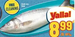 Marché Adonis Fresh sea bass offer