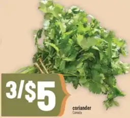 Marché Adonis coriander offer