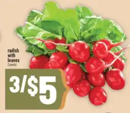 Marché Adonis radish with leaves offer