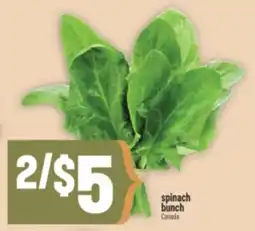 Marché Adonis spinach bunch offer