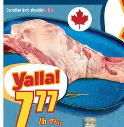 Marché Adonis Canadian lamb shoulder halal offer