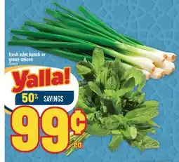 Marché Adonis Fresh mint bunch or green onions offer