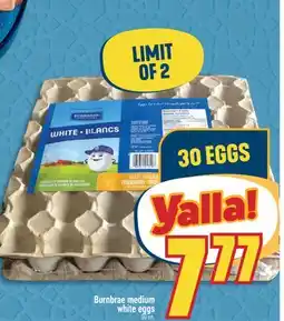 Marché Adonis Burnbrae medium white eggs offer