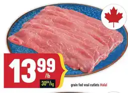 Marché Adonis grain fed veal cutlets Halal offer