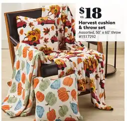 Giant Tiger Harvest cushion & throw set offer