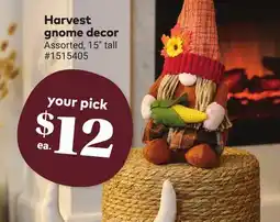 Giant Tiger Harvest gnome decor offer